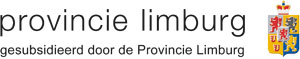 Logo-Prov-Limburg-gesubsidieerd-door-(kleur)